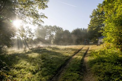 SideWays évolue, toujours nomade, mais…