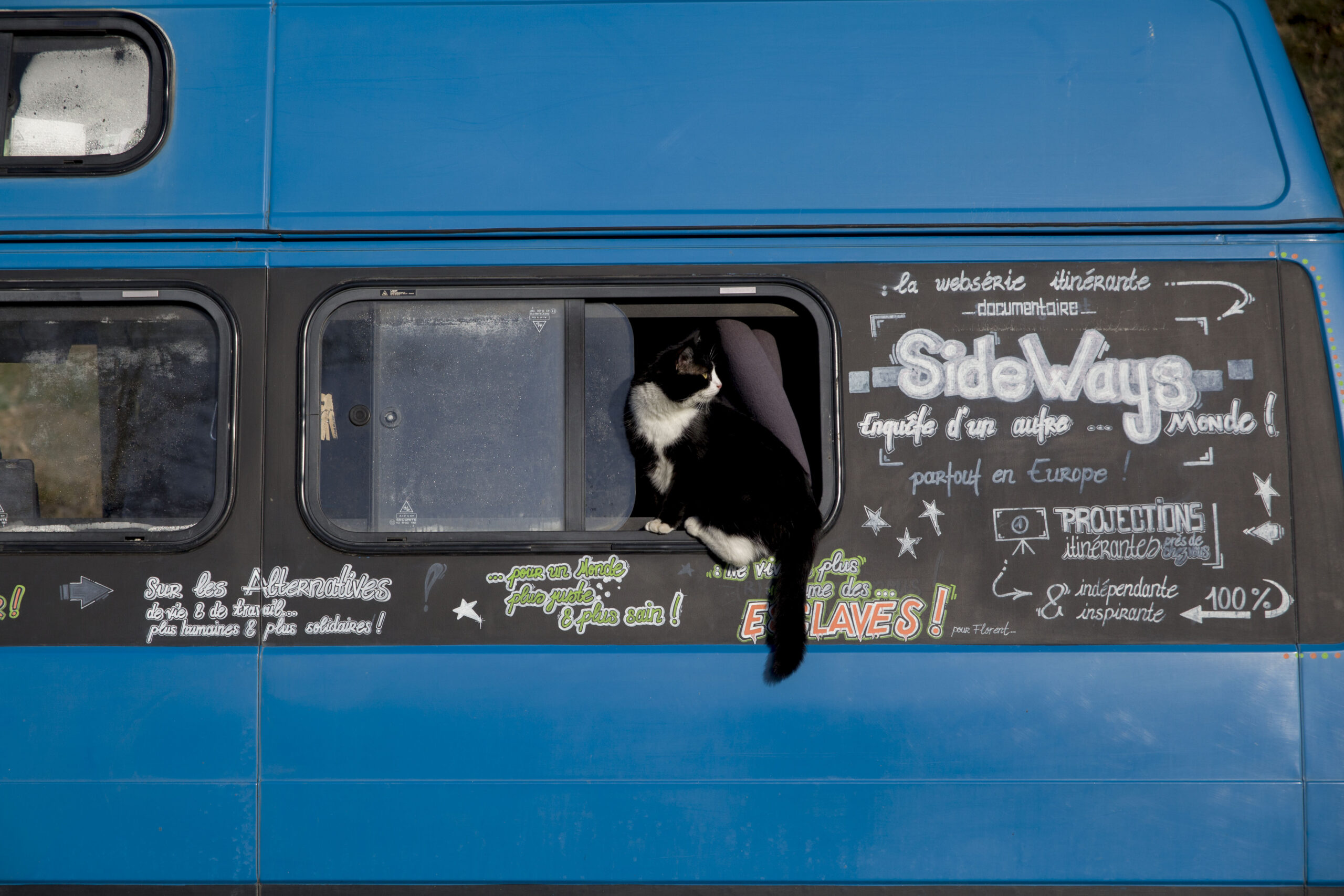 Bivoique, un chat en camion