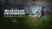 budget de l'épisode 9, la bergerie des Malassis rumine la ville, Bagnolet, Seine-Saint-Denis
