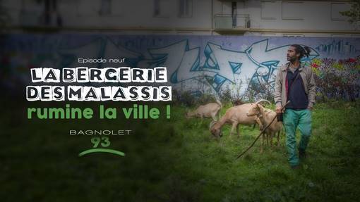 Bergerie, Bagnolet, Gilles Petit Pois, Agriculture Urbaine, Eco pâturage - vidéo + magazine multimédia